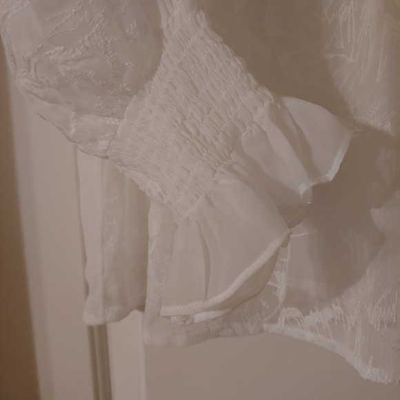 white sheer blouse - Picture 2 of 6